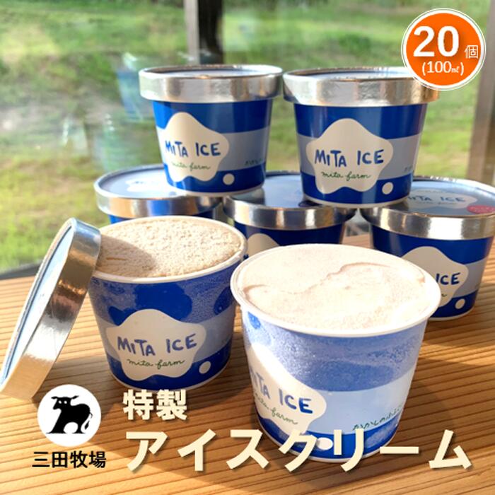 【ふるさと納税】アイス 三田牧場 特製 アイスクリーム 4種類 20個セット ミルク チョコレート いちごミルク ラムレーズン お菓子 スイーツ 詰め合わせ
