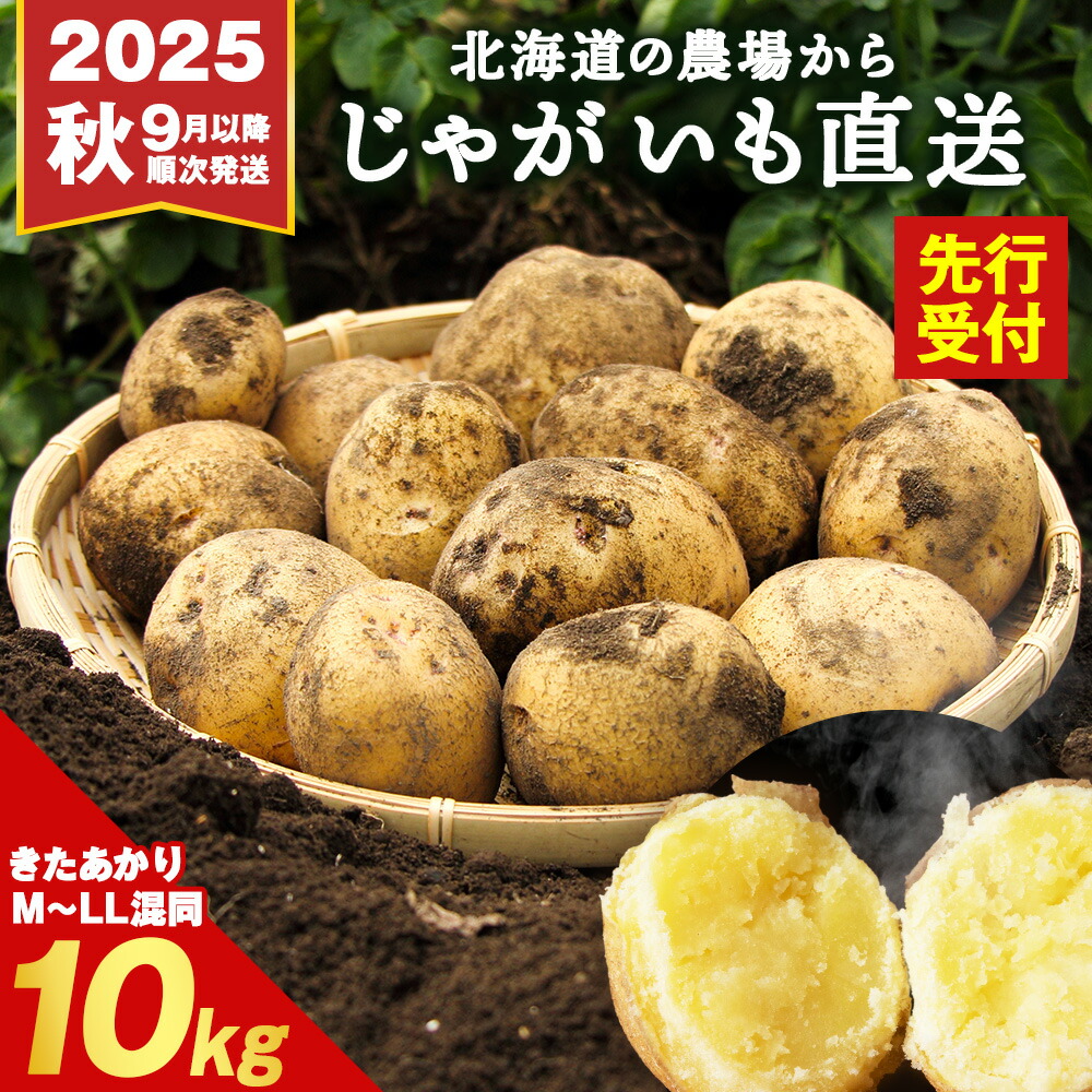 【ふるさと納税】【2025年秋発送予約】数量限定  じゃがいも 選べる5kg・10kg 北海道 きたあかり ジャガイモ 芋 いも<BR>北海道ふるさと納税 積丹町 ふるさと納税 北海道 サイズ混同 野菜 通販 ギフト 贈答品 贈り物