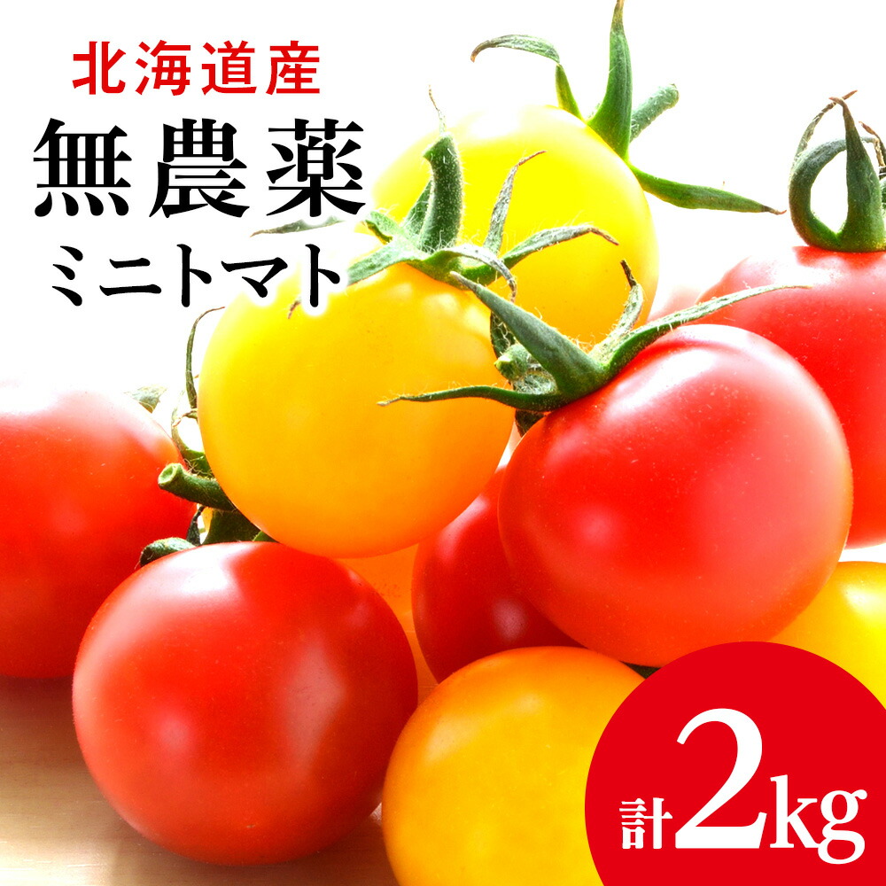 【ふるさと納税】【2025年夏発送】無農薬ミニトマト2種 各1kg（イエローミニ・プレミアムルビー）<BR>北海道ふるさと納税 積丹町 ふるさと納税 北海道 野菜 ミニトマト 無農薬 トマト