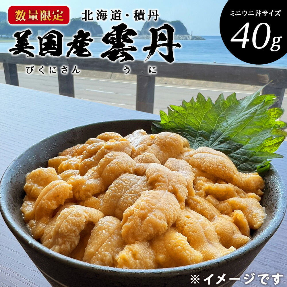 【ふるさと納税】【期間限定】美国産雲丹40g ミニウニ丼サイズ 北海道 ウニ うに「2025年8月24日決裁分まで年内発送」<BR>北海道ふるさと納税 積丹町 ふるさと納税 海鮮 北海道 塩水 海鮮 うに 生うに 北海道 うに 雲丹 通販 ギフト ウニ 贈答品 贈り物