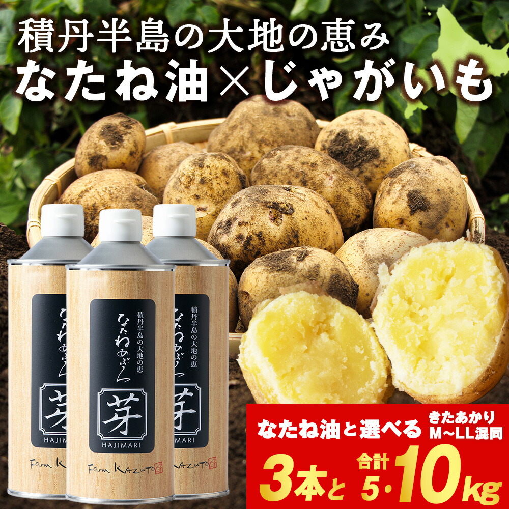 【ふるさと納税】【2026年秋発送予約】なたねあぶら 芽（はじまり）添加物不使用 (600g3本) × 積丹町産 きたあかり 選べる5kg・10kg セット 北海道ふるさと納税 積丹町 ふるさと納税 北海道 菜種油 なたね油 油 無添加 調味料 野菜 じゃがいも ギフト 贈答品 贈り物