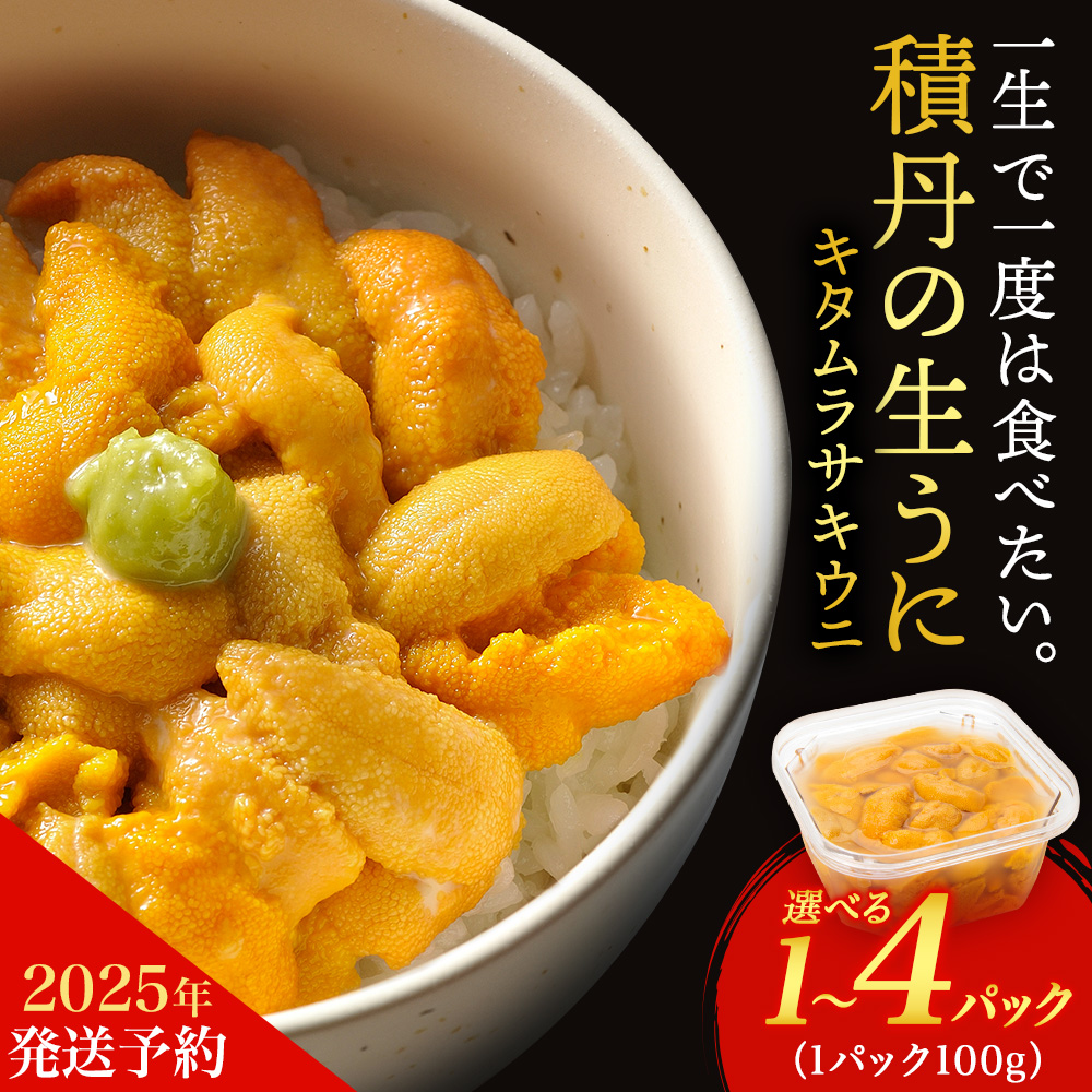 【ふるさと納税】【2025年夏発送分】ムラサキウニ 選べる1パック～4パック 1パック100g 大川商店<BR>北海道ふるさと納税 積丹町 ふるさと納税 海鮮 北海道 キタムラサキウニ 塩水 むらさきうに 海鮮 うに 生うに 北海道 うに 雲丹 通販 ギフト ウニ　うに 2025年