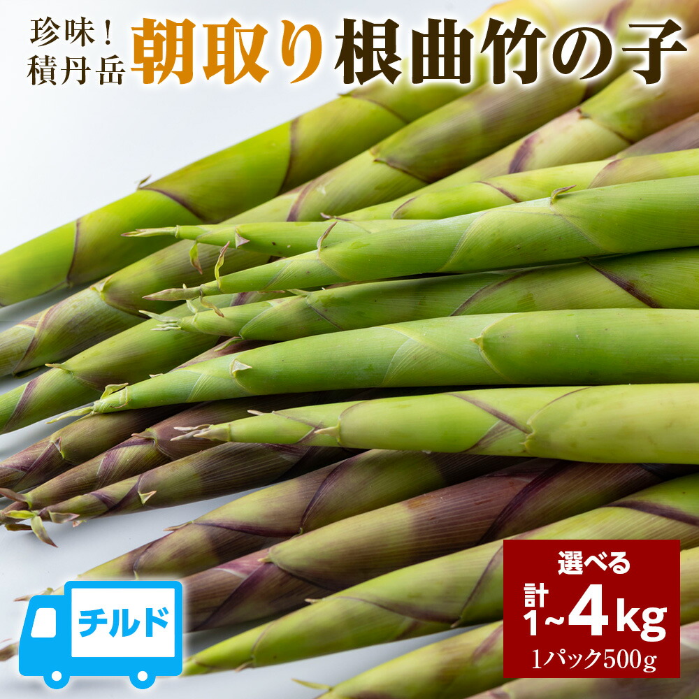 【ふるさと納税】珍味積丹岳根曲竹の子選べる1kg～2kg 1パック500g<BR>北海道ふるさと納税 積丹町 ふるさと納税 北海道 山菜 根曲がり竹 北海道産 タケノコ 筍 竹の子
