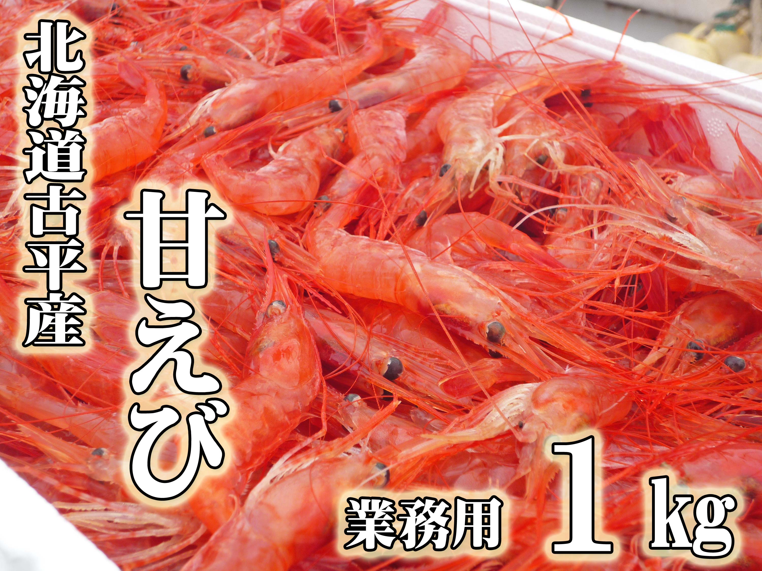 【ふるさと納税】【業務用】北海道古平産 漁師直送！  甘えび１kg【 えび エビ 海老 蝦 南蛮 南蛮えび 南蛮エビ 甘エビ 甘海老 海鮮 魚介類 魚貝類 魚介 業務用 家庭用 贈答用 人気 ランキング 北海道グルメ 北海道 グルメ ごはんのお供 白米 訳あり 訳アリ 不揃い 】