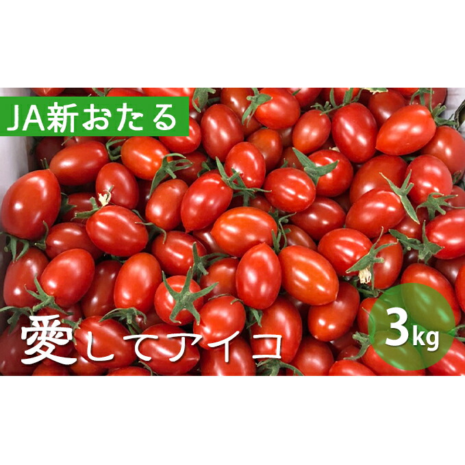 ふるさと納税 北海道仁木産ミニトマト 愛してアイコ 3kg 野菜 ミニトマト とまと トマト 3kg お届け 21年8月上旬 21年10月上旬 Tougane Jp