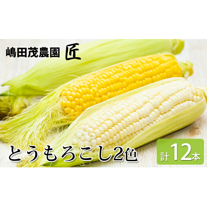 ふるさと納税 嶋田茂プランテーションの生新しい唐きび2思われ人固化 10 12御本 野菜 とうもろこし 蜀黍 穀 お届け 21高齢8月明かり10月日場合 21年9月下旬 Upntabasco Edu Mx