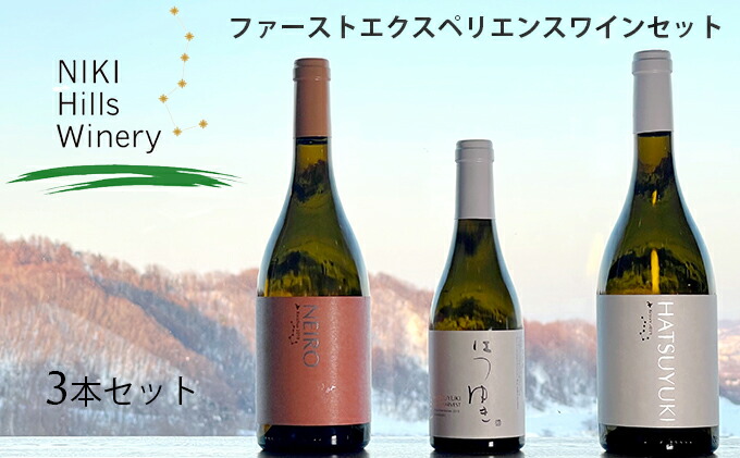 ファッションなデザイン ふるさと納税 Niki Hills Winery ファーストエクスペリエンスワインセット 3本セット 白ワイン お酒 ワインセット Argentinospasion Com Ar