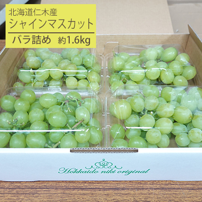 松山商店シャインマスカット 約1.6kg お届け 北海道仁木町産 お気にいる 適切な価格
