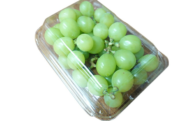【ふるさと納税】【バラ詰め】松山商店シャインマスカット約1.6kg(北海道仁木町産)【果物・ぶどう・フルーツ・果物類・ブドウ・マスカット・シャインマスカット・約1.6kg】お届け:2022年10月中旬〜末日
