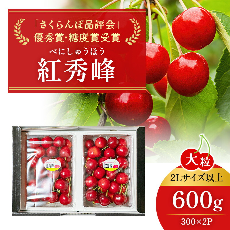 【ふるさと納税】[先行受付] 北海道 仁木町産 ジャンボサイズ さくらんぼ 【 紅秀峰 】2Lサイズ以上 300g×2パック 嶋田茂農園 果物類 フルーツ サクランボ チェリー 600g  [嶋田茂農園匠]　お届け：2025年7月上旬～7月末日まで