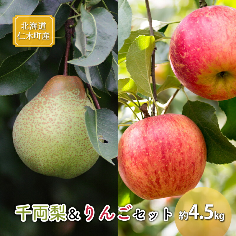 【ふるさと納税】[先行受付] 北海道 仁木町産 千両梨＆りんごセット 約4.5kg 果物類 果物 くだもの フルーツ 林檎 リンゴ ナシ 詰合せ 先行予約 [くだもの直売　もり園]　お届け：2025年9月中旬～11月初旬頃