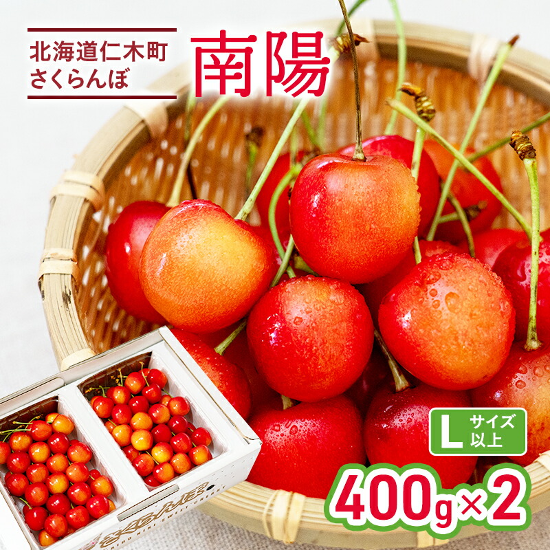 【ふるさと納税】[先行受付] さくらんぼ 南陽 400g×2P Lサイズ 北海道 仁木町 サクランボ 果物 フルーツ チェリー 果物類 [カムナビファーム]　お届け：2025年6月末～7月中旬