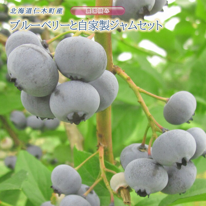 【ふるさと納税】[先行受付] 農園摘みブルーベリー 1kg（100g×10パック）と自家製ジャム 350g セット 北海道 仁木町産 果物 果物類 フルーツ ジャム セット 北海道 仁木町 仁木 [小林信幸]　お届け：2025年7月20日～8月20日頃