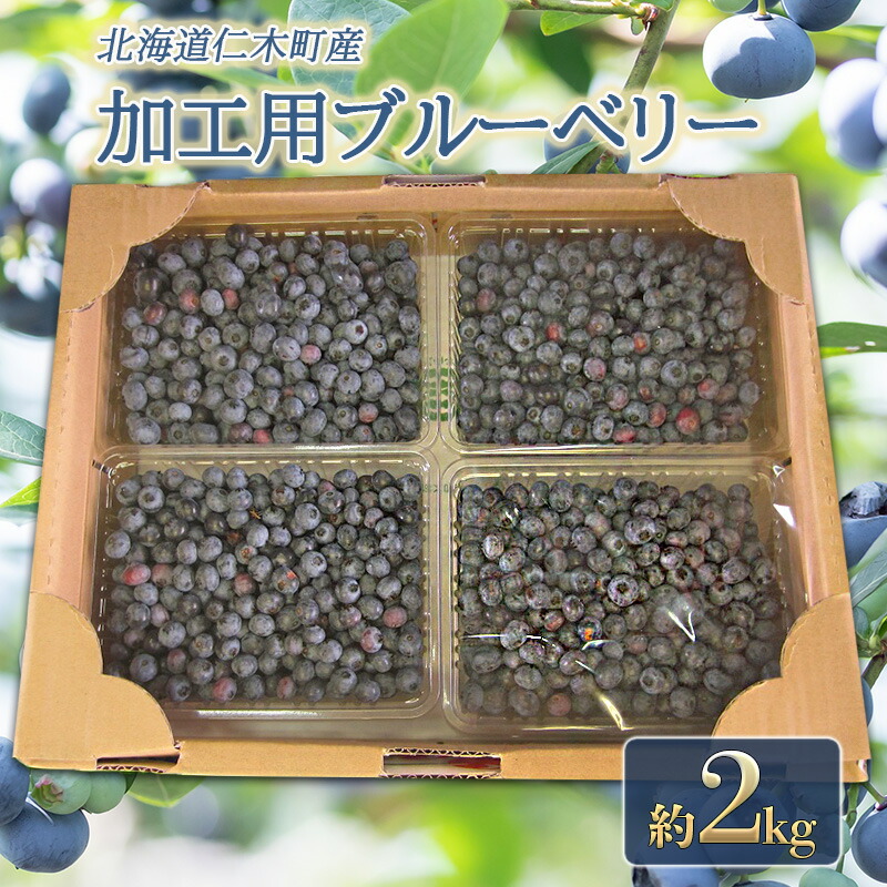 【ふるさと納税】[先行受付] 農園の加工用 ブルーベリー 約2kg サイズ混載 北海道 仁木町産 果物 果物類 フルーツ 仁木 [小林信幸]　お届け：2025年7月20日～8月20日頃