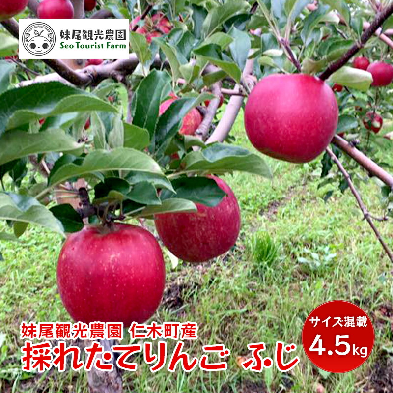 【ふるさと納税】[先行受付/2025年11月出荷開始] 仁木町の採れたてりんご「ふじ」サイズ混載 4.5kg（15～18玉入り） 北海道 果物 フルーツ リンゴ 果物類 林檎 [フルーツショップ妹尾観光農園]　お届け：2025年11月下旬～12月下旬