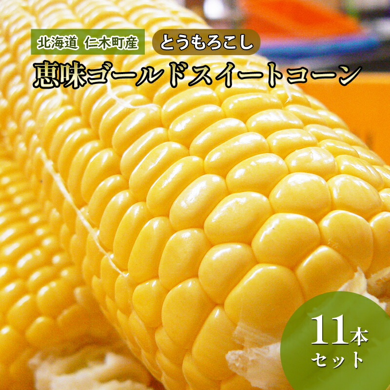【ふるさと納税】[先行受付] 北海道 仁木町産 とうもろこし 恵味ゴールド スイートコーン 11本 セット 野菜 コーン 甘い [峠のふもと紅果園]　お届け：2025年8月20日頃～9月末