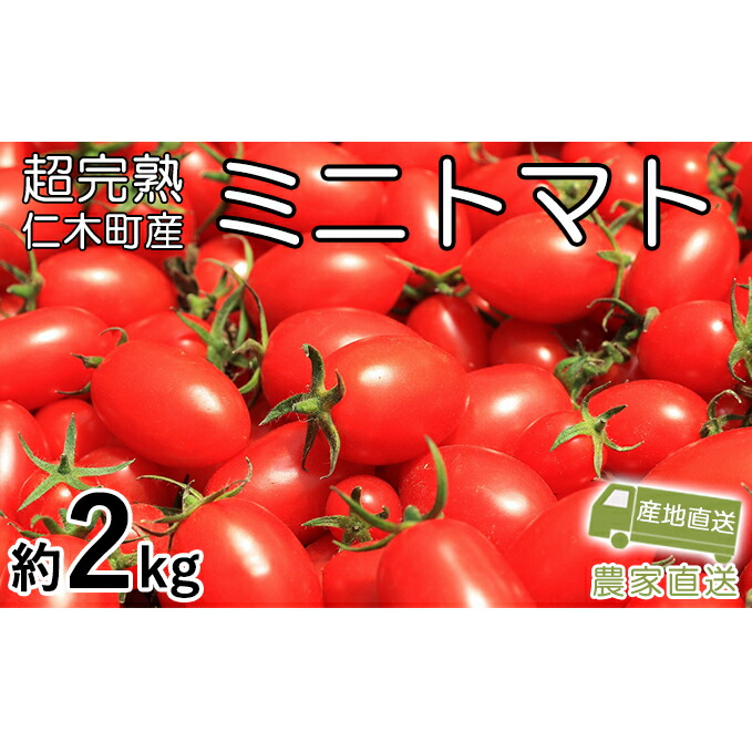 【ふるさと納税】[先行受付] 超完熟ミニトマト【アイコ】2kg（1kg×2箱）サイズ混載  トマト ミニトマト アイコ 野菜 北海道 仁木町[アイコファーム] 　お届け：2025年8月上旬～10月下旬