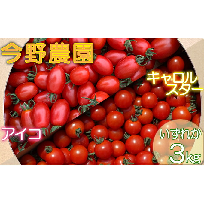 【ふるさと納税】[先行受付] 北海道 仁木町産 ミニトマト 3kg サイズ混合 アイコ または キャロルスター野菜 トマト [今野農園]　お届け：2025年8月10日～9月末まで