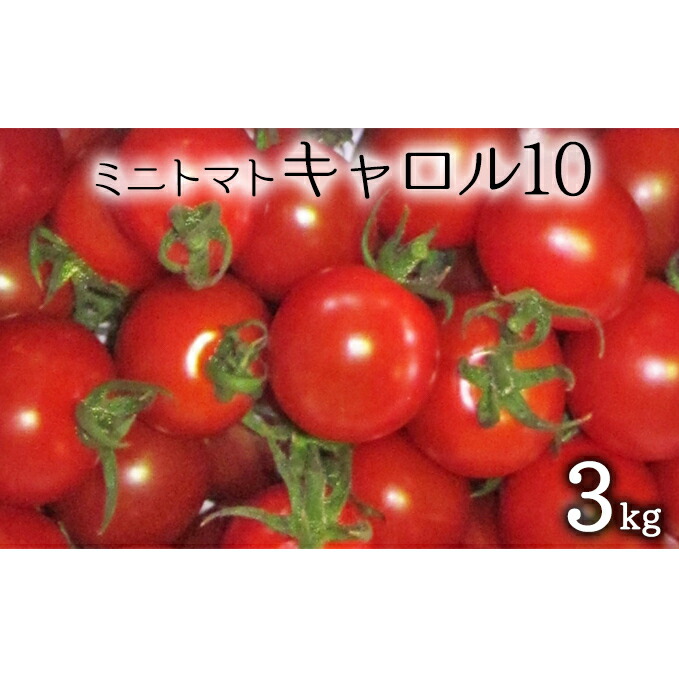 【ふるさと納税】[先行受付] 北海道 仁木町産 ミニトマト 3kg （品種： キャロル10） 野菜 野菜類 とまと トマト[松山商店]　お届け：2025年8月上旬～9月20日頃