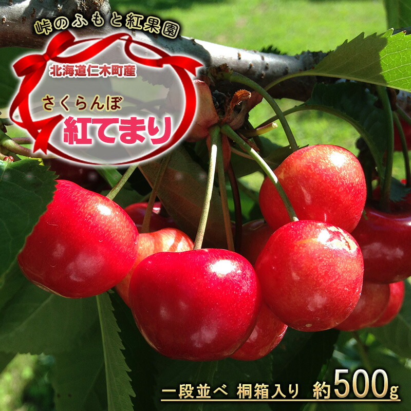 【ふるさと納税】[先行受付] 北海道 仁木町産 さくらんぼ【 紅てまり 】一段並べ 桐箱入り 500g Lサイズ以上  果物類 果物 くだもの フルーツ サクランボ チェリー [峠のふもと紅果園]　お届け：2025年7月15日頃～7月20日頃