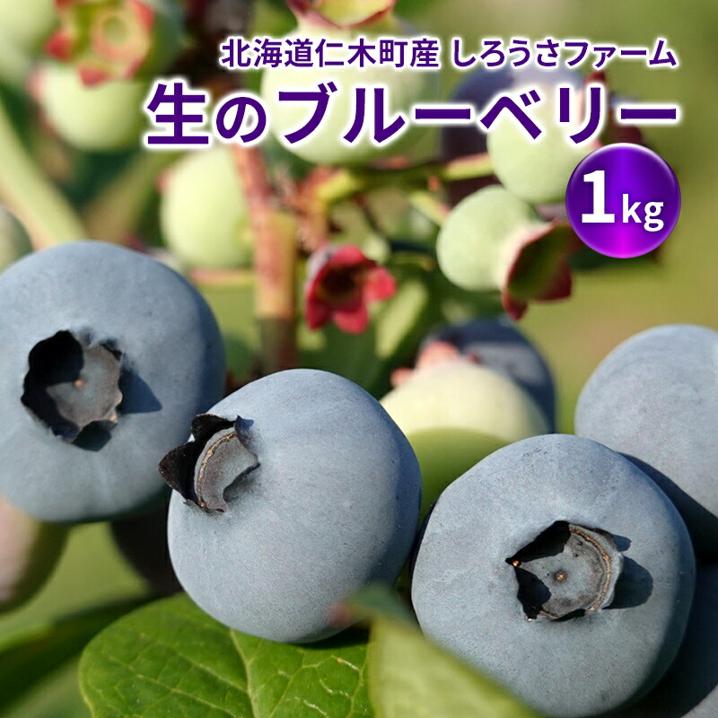 【ふるさと納税】[先行受付] 北海道 仁木町産 有機栽培ブルーベリー1kg サイズ混合 果物 くだもの フルーツ ブルーベリー[しろうさファーム]　お届け：2025年7月15日～8月15日まで