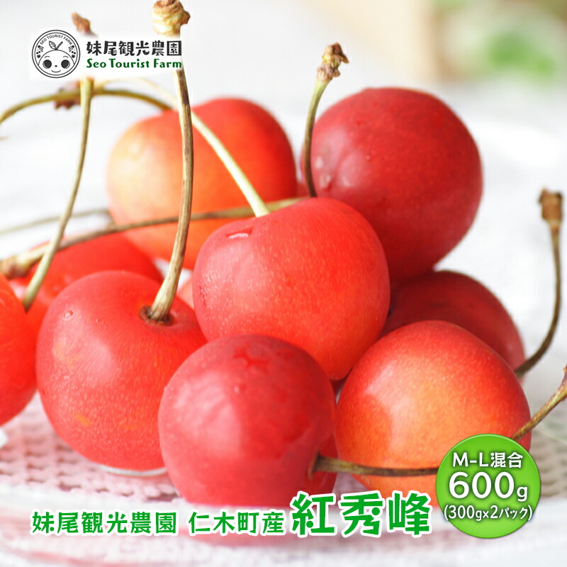 【ふるさと納税】[先行受付/2025年] 仁木町産 さくらんぼ「紅秀峰」600g（300g×2パック）M-L混合 北海道 仁木 果物 フルーツ チェリー サクランボ 果物類 [フルーツショップ妹尾観光農園] 　お届け：2025年7月15日～7月25日まで
