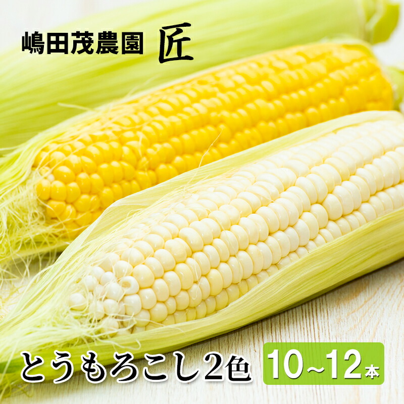 【ふるさと納税】[先行受付] 北海道 仁木町産 新鮮 とうもろこし 2色セット【10～12本】 野菜 トウモロコシ コーン [株式会社 嶋田茂農園匠]　お届け：2025年8月10日頃～9月下旬