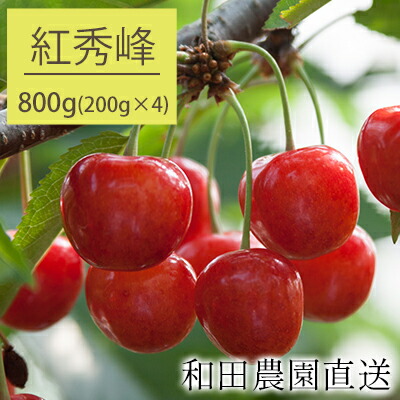【ふるさと納税】[先行受付] 北海道 仁木町産 サクランボ 紅秀峰 800g（400g×2パック）果物類 果物 くだもの さくらんぼ チェリー フルーツ[和田農園]　お届け：2025年7月15日～7月25日
