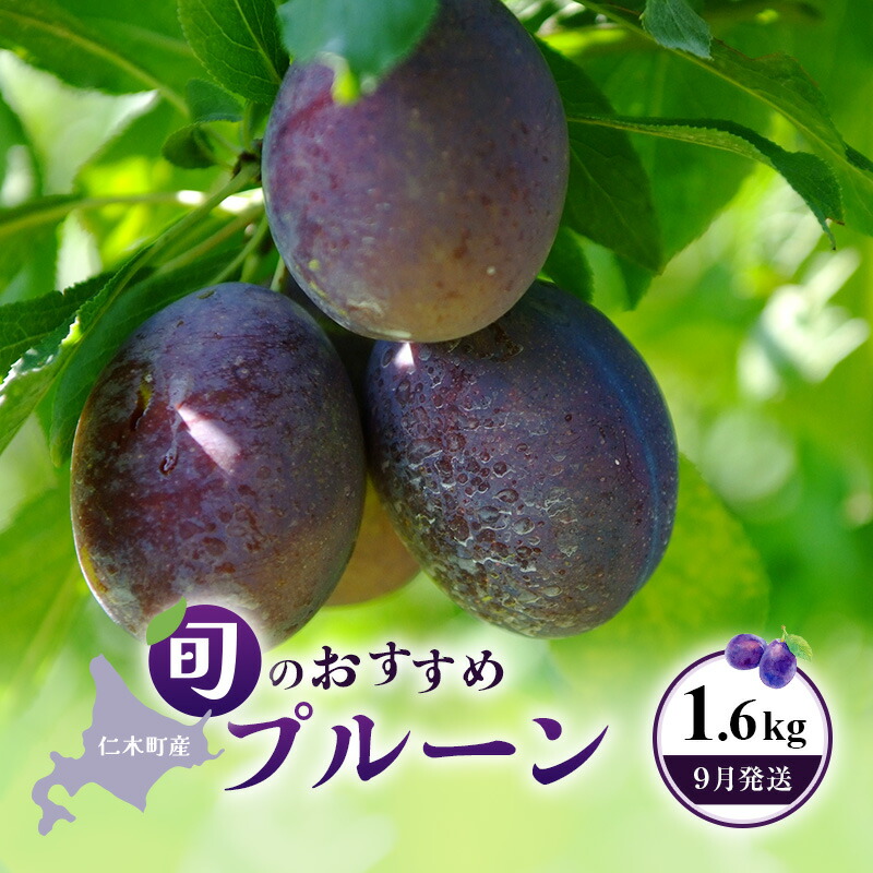 【ふるさと納税】[先行受付] 【9月発送】北海道 仁木町産 おすすめプルーン1.6kg（400g×4パック） 果物類 果物 くだものフルーツ 果物詰合せ プルーン [和田農園]　お届け：2025年9月1日～9月30日