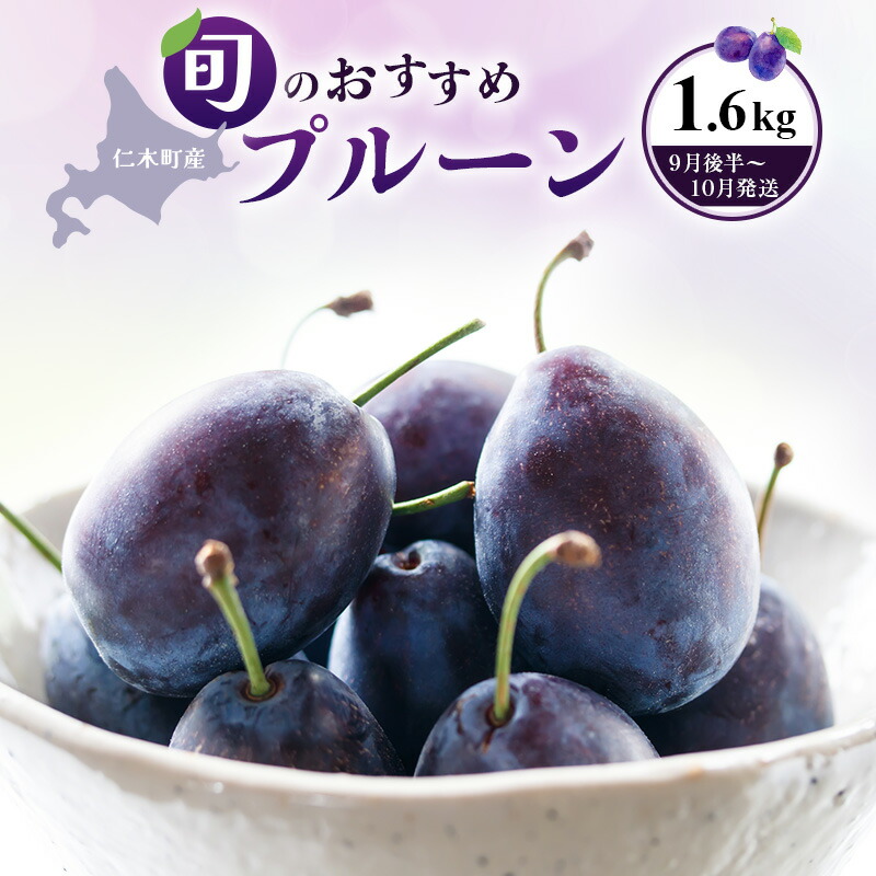 【ふるさと納税】[先行受付] 【9月後半～10月発送】北海道 仁木町産 おすすめプルーン1.6kg（400g×4パック） 果物類 果物 くだものフルーツ 果物詰合せ プルーン [和田農園]　お届け：2025年9月20日～10月10日