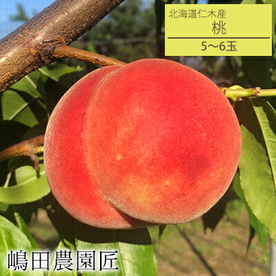 【ふるさと納税】[先行受付] 北海道 仁木町産 「匠」の桃 5～6玉セット 桃 果物 もも モモ フルーツ 白桃 [株式会社 嶋田茂農園匠]　お届け：2025年8月20日～9月20日