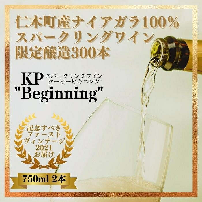 【ふるさと納税】【北海道産ワイン】 限定スパークリングワイン KP”Beginning\