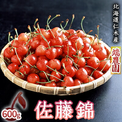 【ふるさと納税】[先行受付] 北海道 仁木町産さくらんぼ 佐藤錦 600g（300g×2パック）北海道知事賞受賞農園 サクランボ 果物類 果物 チェリー[端農園]　お届け：2025年7月1日～15日頃