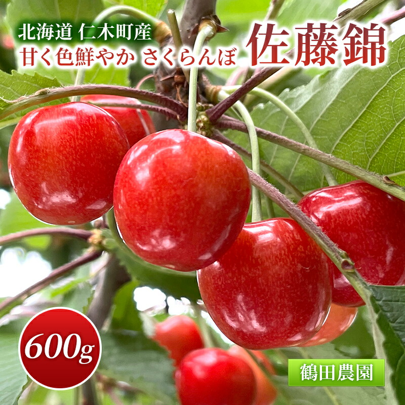 【ふるさと納税】[先行受付] 数量限定 北海道 仁木町産 甘く色鮮やか さくらんぼ 佐藤錦 600g L～2Lサイズ 果物類 フルーツ チェリー 低農薬 有機肥料 高級品種 大人気 高糖度 甘い ご贈答用 [鶴田農園]　お届け：2025年6月下旬～7月下旬