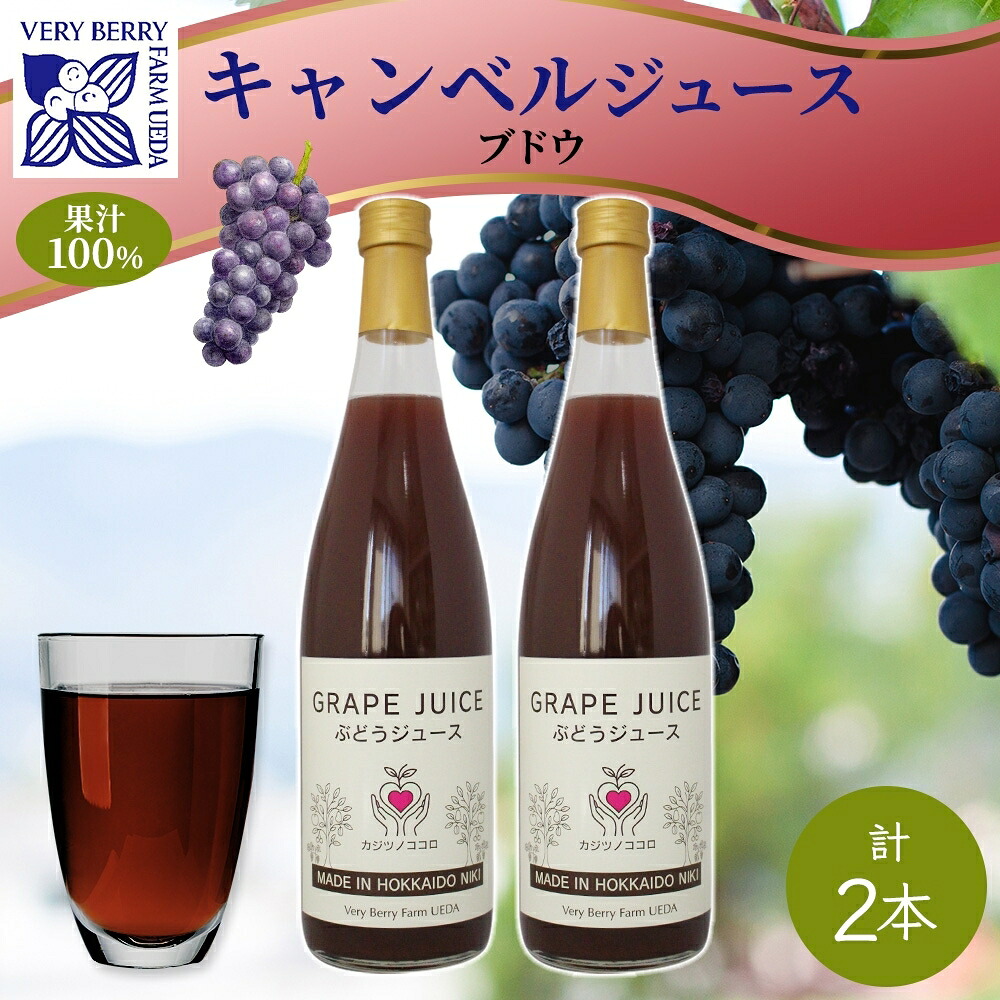 【ふるさと納税】ぶどうジュース 710ml 2本 セット キャンベルアーリー 葡萄 果汁 100％ お取り寄せ ギフト 新鮮 北海道 仁木町