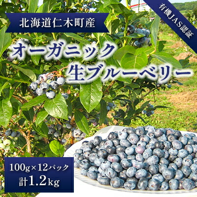 【ふるさと納税】【有機JAS認証】北海道仁木町産オーガニック生ブルーベリー 100g×12パック 計1.2kg 果物 フルーツ 有機栽培 安心安全 樹上完熟 手摘み [株式会社 自然農園]　お届け：2025年7月中旬～8月上旬