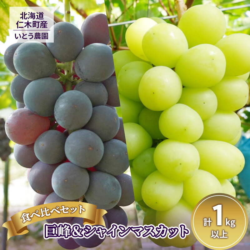 【ふるさと納税】[2026年発送] 9月出荷 北海道 仁木町産 葡萄 食べ比べセット『 巨峰 ＆ シャインマスカット 』（計1kg以上）ブドウ ぶどう 果物 フルーツ 旬の果物 産地直送 [いとう農園]　お届け：2026年9月15日～9月25日｜北海道仁木町