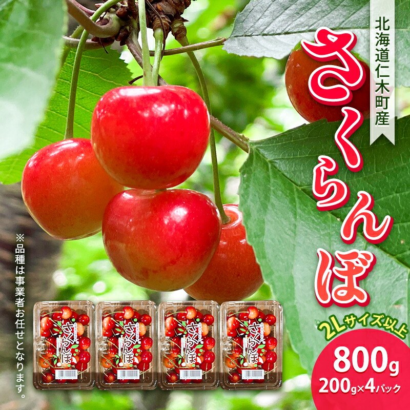 【ふるさと納税】[先行受付] 北海道 仁木町産 JA新おたる さくらんぼ 800g（200g×4パック） 2Lサイズ以上 「佐藤錦」もしくは「紅秀峰」 果物 フルーツ チェリー 旬の果物 産地直送 北海道産 [JA新おたる]　お届け：2025年7月～23日まで