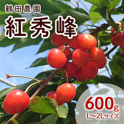 【ふるさと納税】[先行受付] 数量限定 北海道 仁木町産 果肉がプリ しっかり大粒 甘い さくらんぼ 紅秀峰 600g Lサイズ以上 果物 フルーツ チェリー 高糖度 リピーター 朝採り 大人気 酸味 甘み ジューシー [鶴田農園]　お届け：2025年7月上旬～7月下旬