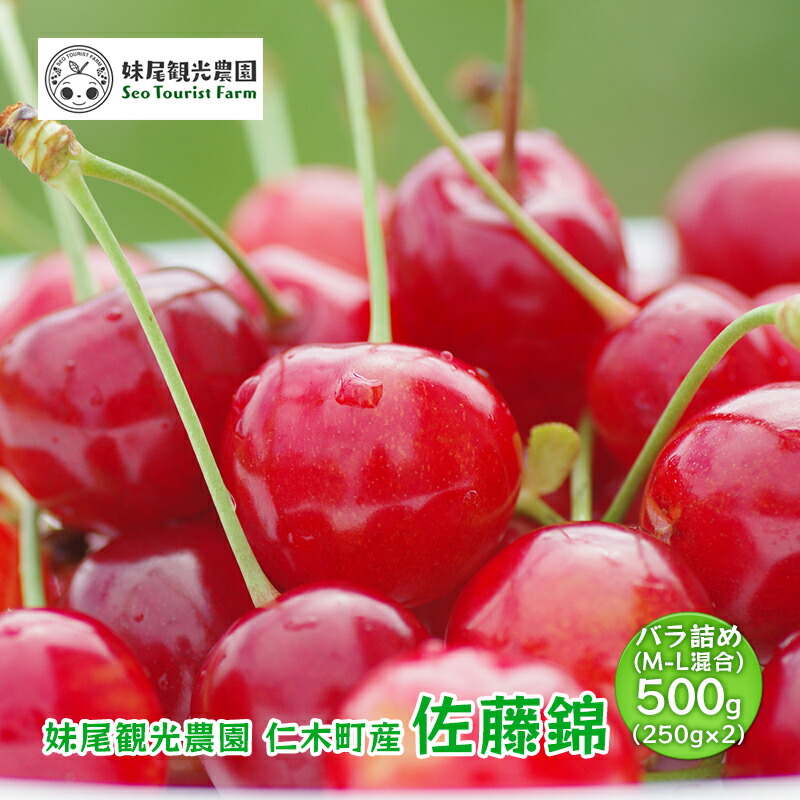 【ふるさと納税】[先行受付/2025年] 仁木町産 さくらんぼ 「佐藤錦」 バラ詰め 500g（250g×2）M-L混合 北海道 仁木 果物 フルーツ チェリー サクランボ  国産 旬のフルーツ 旬の果物 デザート [フルーツショップ妹尾観光農園]　お届け：2025年7月上旬～7月下旬