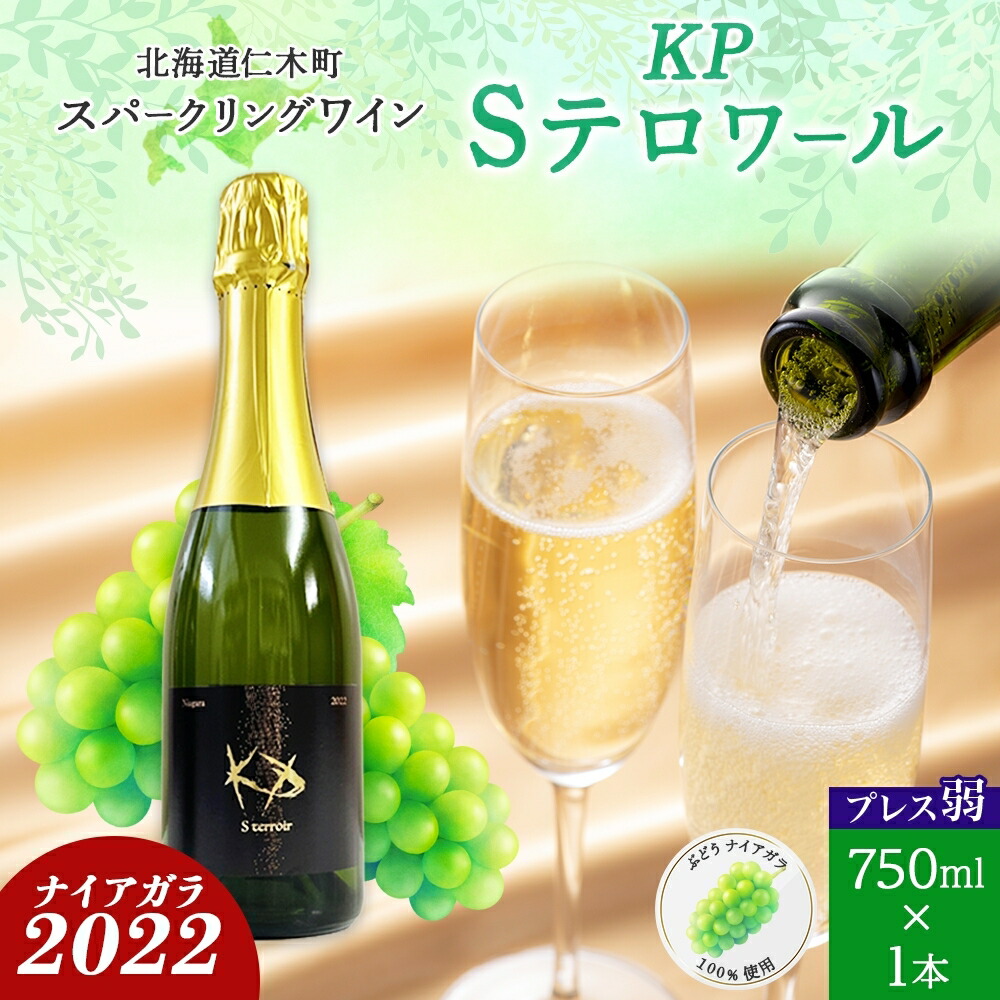 【ふるさと納税】北海道産 スパークリング ワイン 750ml 1本 KPワイン Sテロワール ぶどう ナイアガラ 葡萄 ブドウ 白ワイン 辛口 酒 お酒 贈答 贈り物 お祝い ギフト 記念日 送料無料