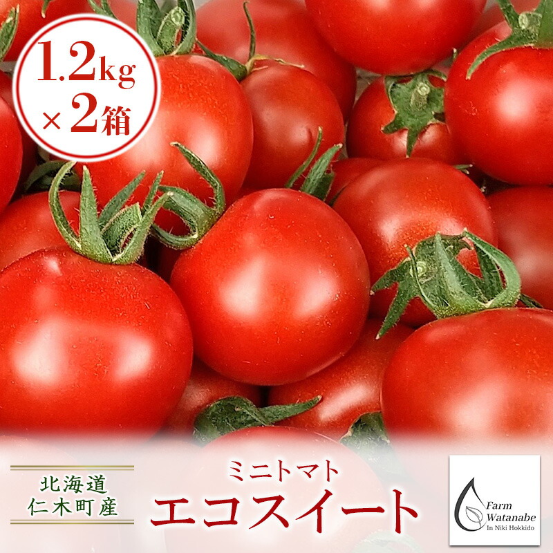 【ふるさと納税】[先行受付/2025年産][栽培期間中 農薬・化学肥料不使用] 北海道 仁木町産 ミニトマト エコスイート 1.2kg×2箱 サイズ混載 トマト野菜 やさい  [Farm Watanabe]　お届け：2025年7月下旬～2025年8月下旬まで