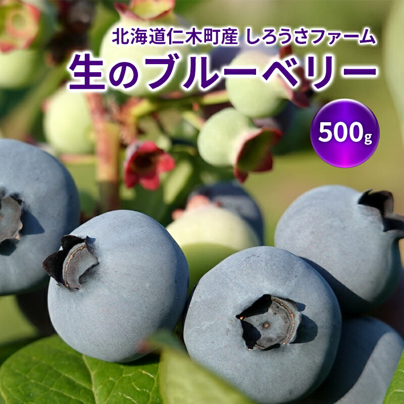 【ふるさと納税】[先行受付] 北海道 仁木町産 有機栽培ブルーベリー 500g（サイズ混合） 果物 くだもの フルーツ 果実 生ブルーベリー 国産 国産ブルーベリー 日本産 [しろうさファーム]　お届け：2025年7月15日～8月15日まで
