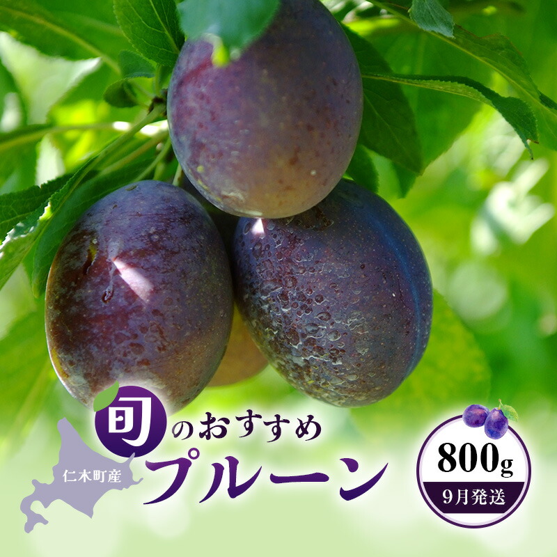 【ふるさと納税】[先行受付]【9月発送】北海道 仁木町産 おすすめ プルーン 800g（400g×2パック） 果物類 果物 くだもの フルーツ 果物詰合せ [和田農園]　お届け：2025年9月1日～9月30日