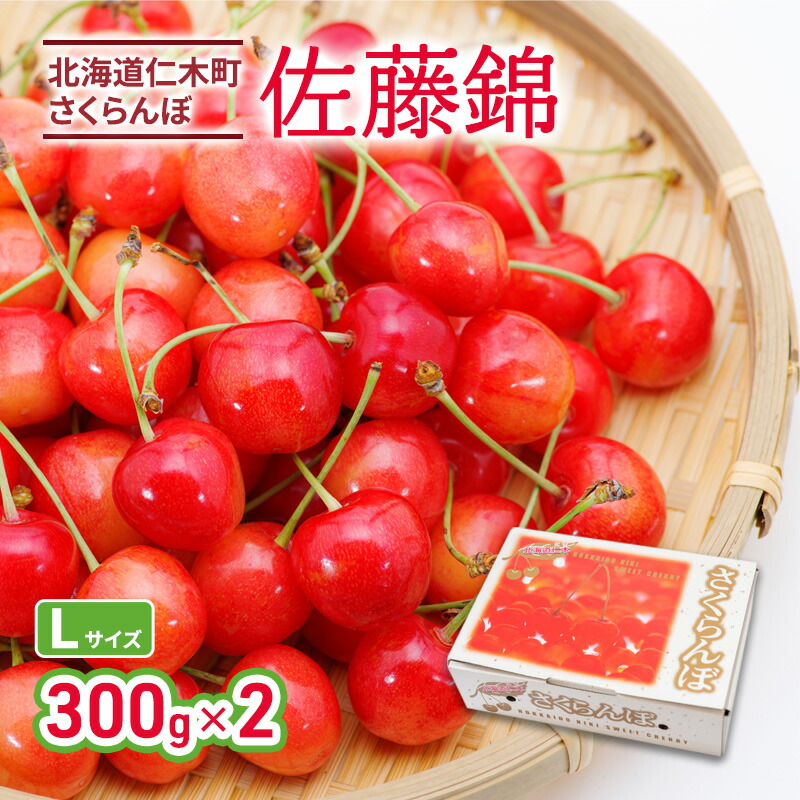 【ふるさと納税】[先行受付] 北海道 仁木町産 さくらんぼ 佐藤錦 300g×2P Lサイズ  サクランボ 果物 くだもの フルーツ チェリー [林果樹園]　お届け：2025年6月末～7月中旬