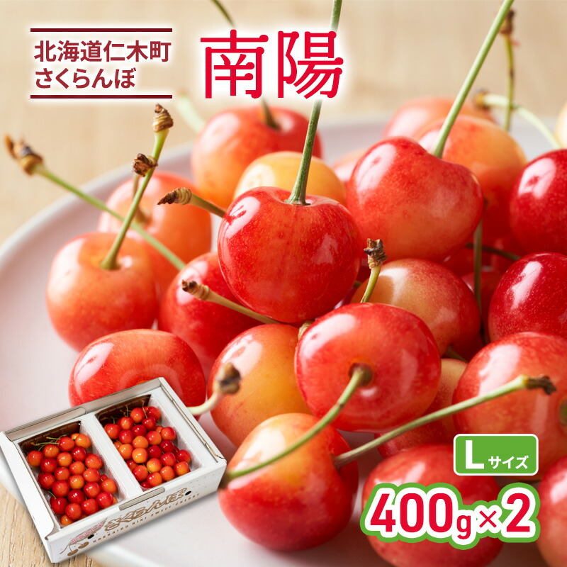 【ふるさと納税】[先行受付] 北海道 仁木町産 さくらんぼ 南陽 400g×2P Lサイズ サクランボ 果物 くだもの フルーツ チェリー [林果樹園]　お届け：2025年6月末～7月中旬