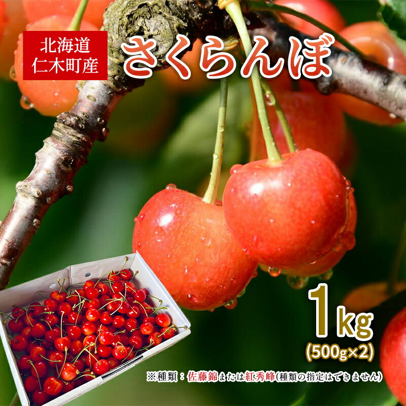 【ふるさと納税】[先行受付] 北海道 仁木町産 さくらんぼ 1kg （500g×2） 佐藤錦または紅秀峰 果樹 サクランボ 果物類 くだもの フルーツ チェリー [くくり農園]　お届け：2025年7月上旬～7月下旬まで