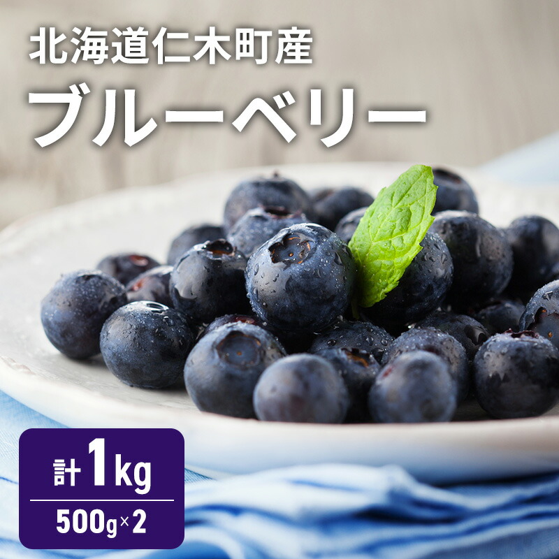 【ふるさと納税】[先行受付] 北海道 仁木町産 ブルーベリー 1kg （500g×2） 果実 果物 くだもの フルーツ 甘み 酸味 [林果樹園]　お届け：2025年7月下旬～8月上旬まで
