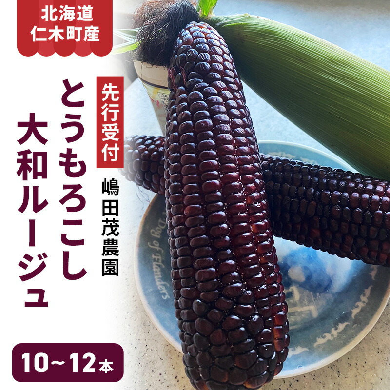 【ふるさと納税】[先行受付] 北海道 仁木町産 新鮮 とうもろこし 大和ルージュ【10～12本】トウモロコシ コーン 野菜 やさい [嶋田茂農園]　お届け：2025年8月下旬～2025年9月中旬