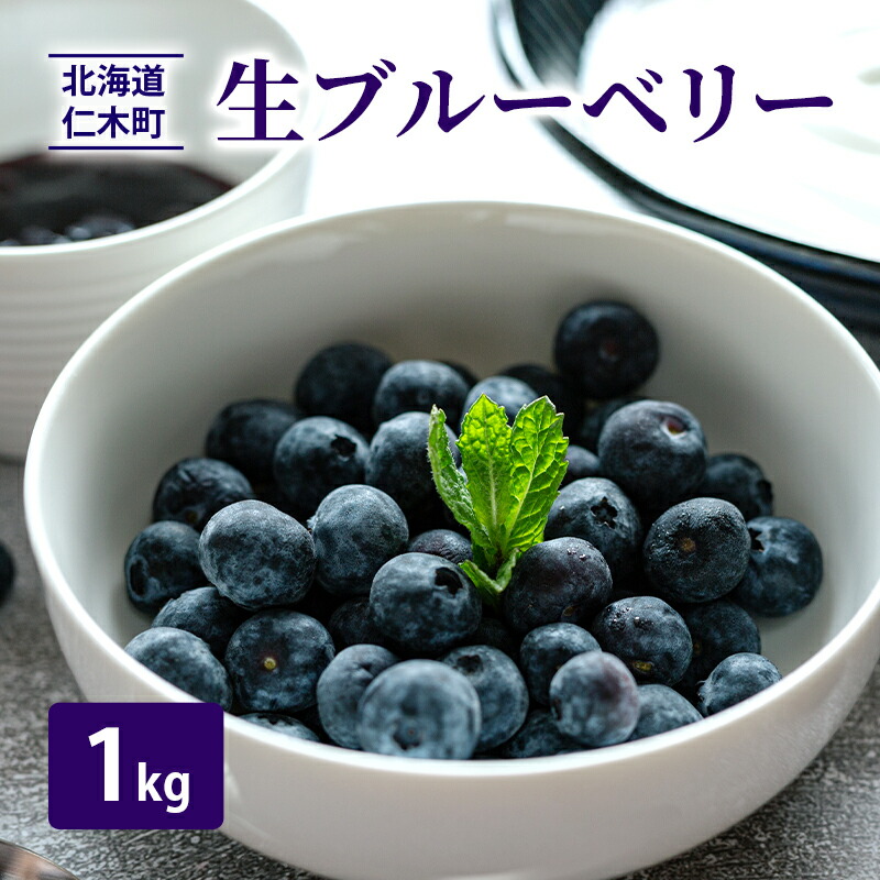 【ふるさと納税】[先行受付] 生 ブルーベリー 1kg 北海道 仁木町 ベリー ブルーベリー 生ブルーベリー 生 ジャム ブルーベリージャム シャーベット ヨーグルト スムージー 果物 [カムナビファーム]　お届け：2025年7月下旬～2025年8月上旬まで